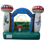 inflatable bouncer